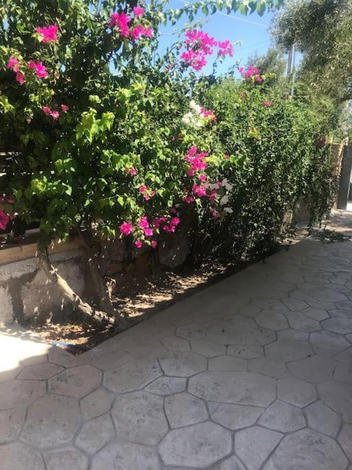Πέτρινη Κατοικία Στην Αίγινα - Stone House In Aigina Khloi المظهر الخارجي الصورة